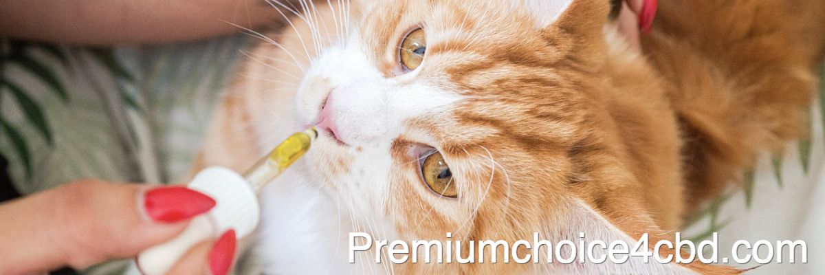 premiumchoice4cbd.com